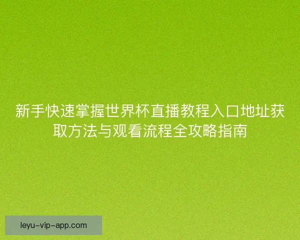 新手快速掌握世界杯直播教程入口地址获取方法与观看流程全攻略指南